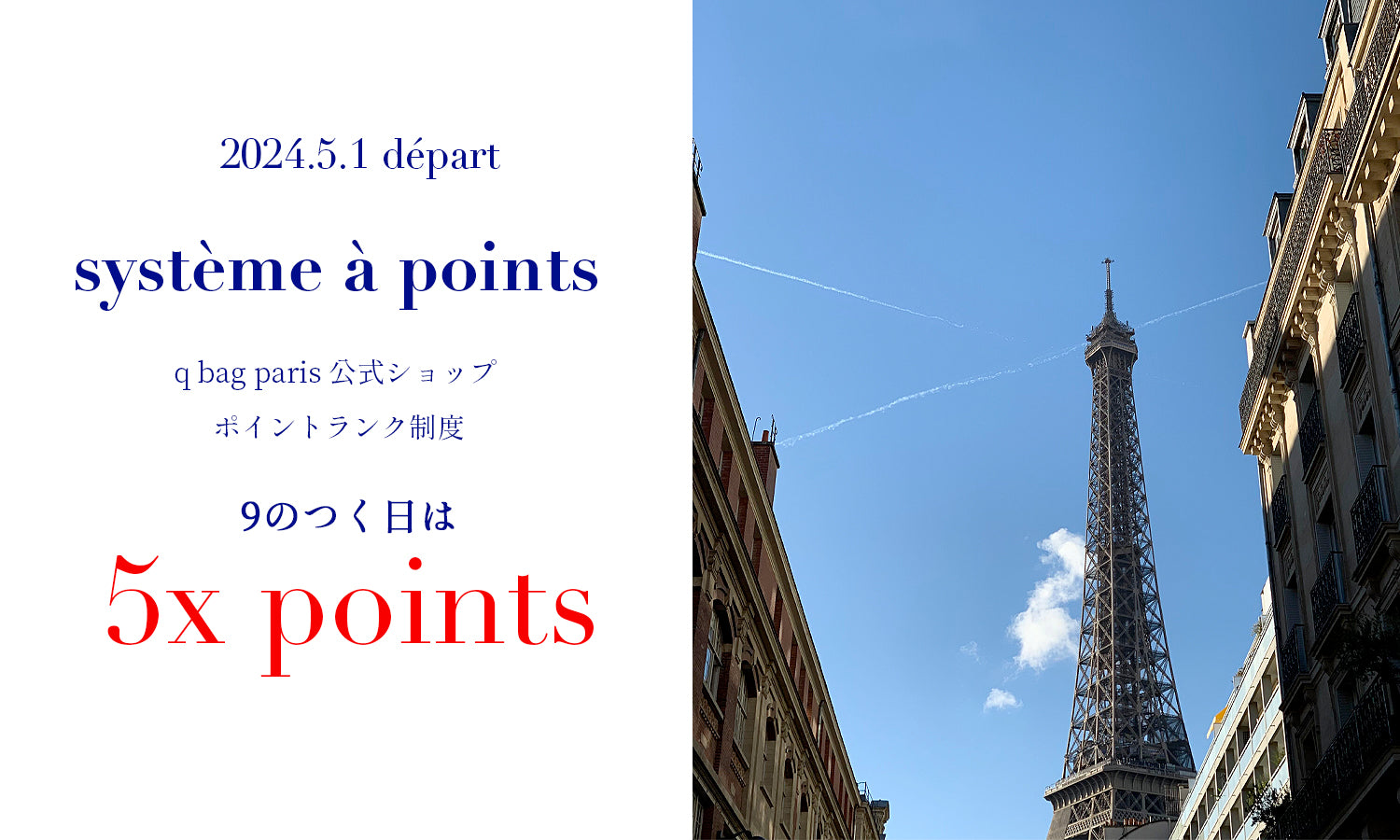 公式ショップ ポイントランク制度スタート