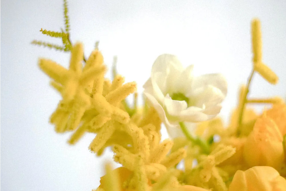 q bagができるまで 番外編《オリジナルフレグランス 誕生の裏側 〜香りに込めた、パリへのオマージュ〜